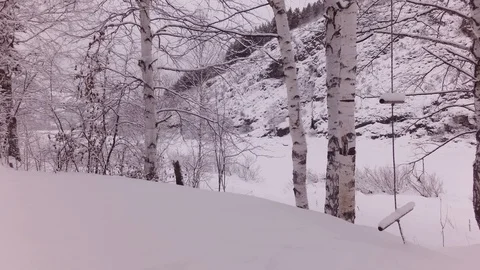 Cloudy winter day Stock Footage 105734535