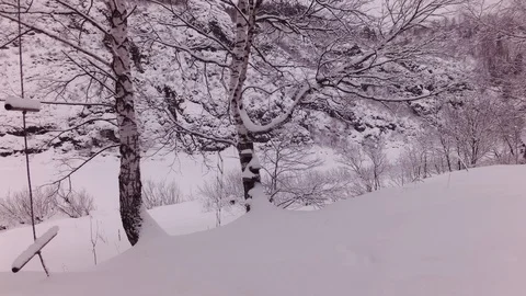 Cloudy winter day Stock Footage 105734606