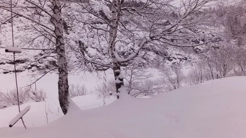 Cloudy winter day Stock Footage 105734710