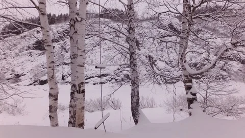 Cloudy winter day Stock Footage 105734759