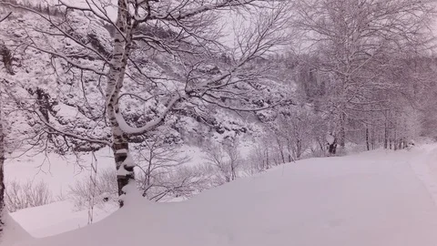Cloudy winter day Stock Footage 105734923