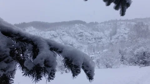 Cloudy winter day Stock Footage 105735024