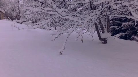 Cloudy winter day Stock Footage 105735311