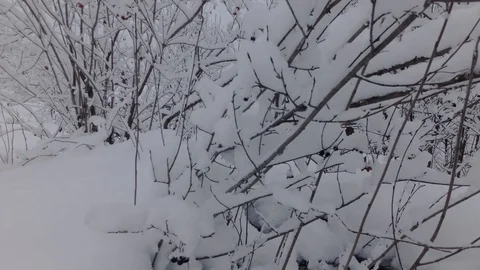 Cloudy winter day Stock Footage 105735420