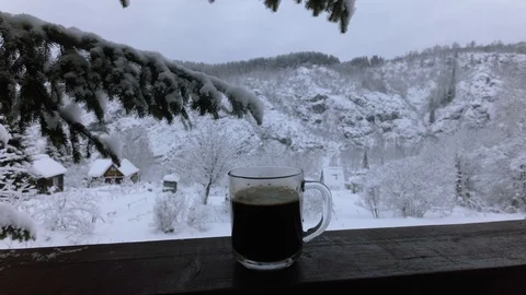 Cloudy winter day Stock Footage 105735521