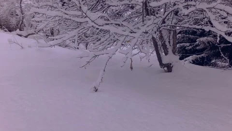 Cloudy winter day Stock Footage 105735705