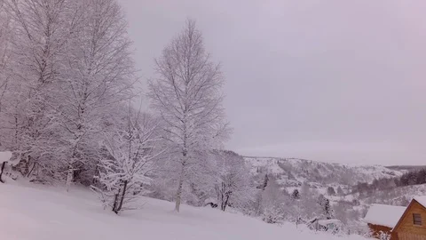 Cloudy winter day Stock Footage 105736010