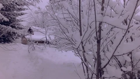 Cloudy winter day Stock Footage 105736036