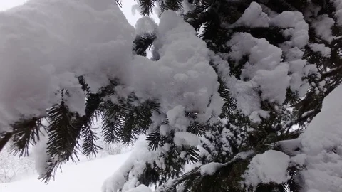 Cloudy winter day Stock Footage 105736049