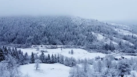 Cloudy winter forest aerial Video stock 261584972