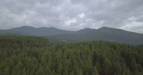 CloudyForestMountain AERIALPUSH IN Stockbeeldmateriaal 235707292