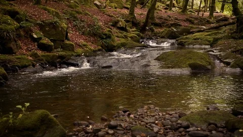 Cloughleagh Creeks Stock-Footage 113251002