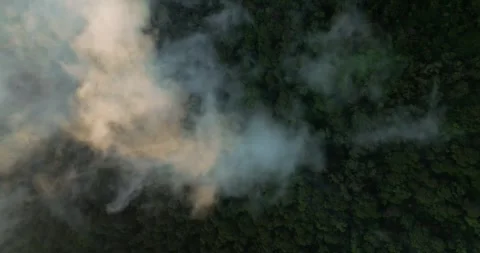 Clounds over rainforest in sunset light. Top view Stock Footage 248596157