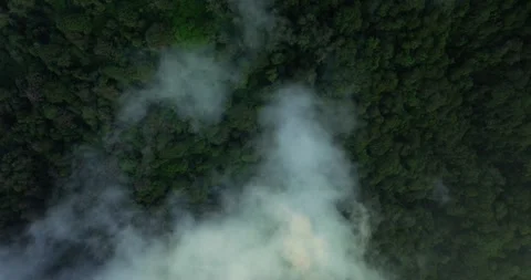 Clounds over rainforest in sunset light. Top view Stock Footage 248902077