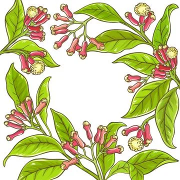 Clove  branch  vector frame Illustrazione stock