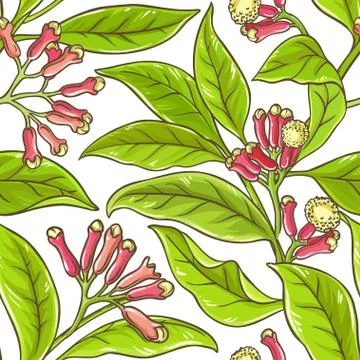 Clove  branch  vector pattern Stock Illustration