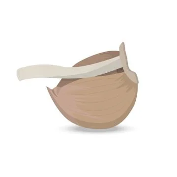 Clove of garlic with a branch of a head Stock Illustration