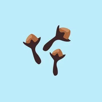 Clove Illustrazione stock