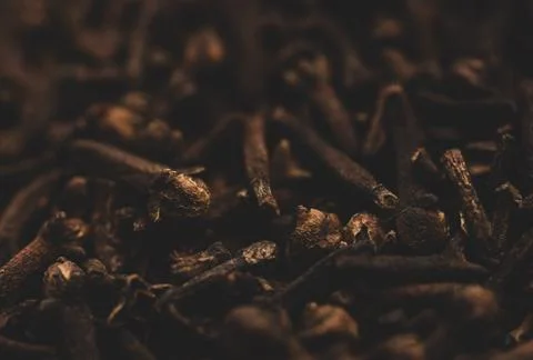 Clove Macro potograph, selective focus. Stock Photos