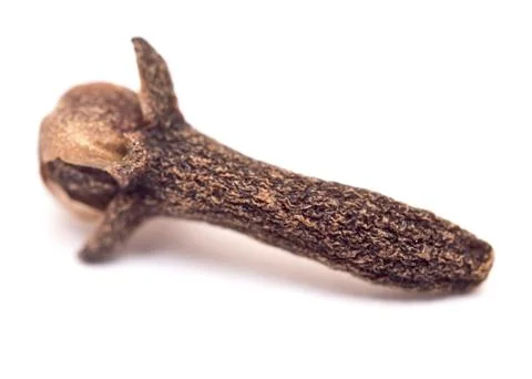 Clove Stock Photos