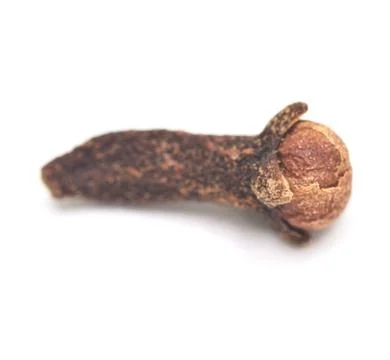 Clove Stock Photos