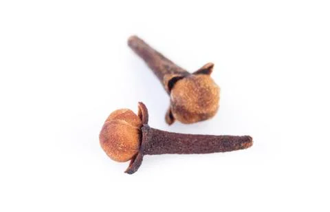 Clove Stock Photos