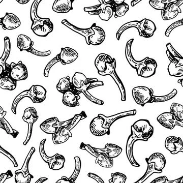 Clove seamless pattern. Vector drawing. Hand drawn sketch. Seasonal food Stock Illustration