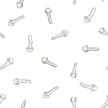 Clove spice. Vector pattern Stock Illustration