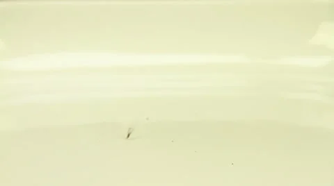 Clove sprinkled on a white background Stock Footage 47867107