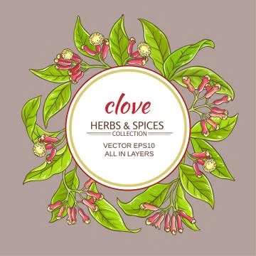 Clove vector frame Stock Illustration