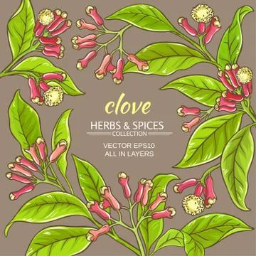 Clove vector frame Stock Illustration