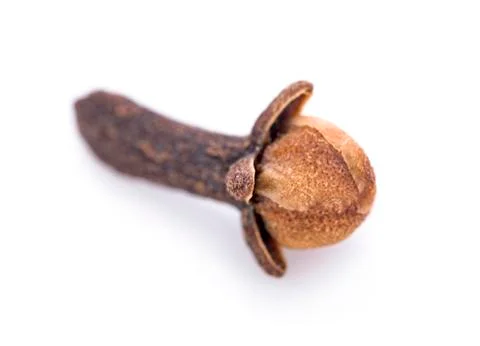 Clove on white background Stock Photos