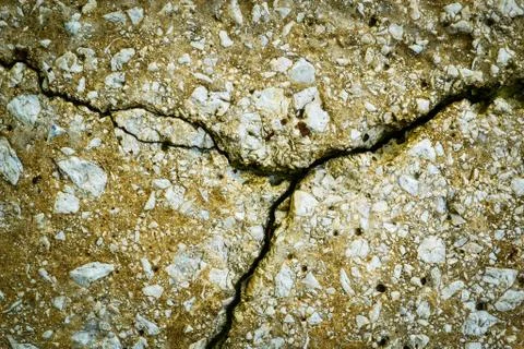 Clovenfooted crack the old panel Stock Photos