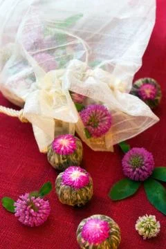 Clover and tea Stock Photos