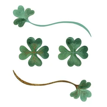 Clover branches with three and four leaves. Symbol of Ireland and good luck. Stock Illustration