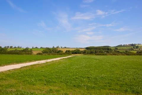 Clover crop Stock Photos