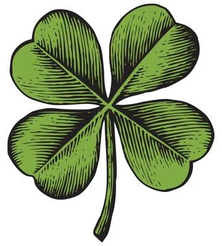 Clover with four leaf Stock Illustration