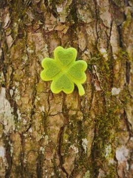 Clover with four leaves Stock Photos