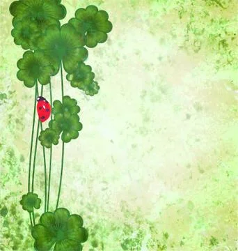 Clover with ladybug on green grunge texture background st. patrick day border Stock Illustration