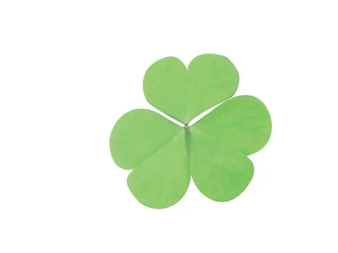 Clover leaf Stock Photos