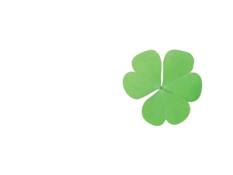 Clover leaf Fotos Stock