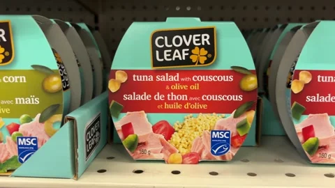 Clover Leaf tuna salad  스톡 동영상 310325503