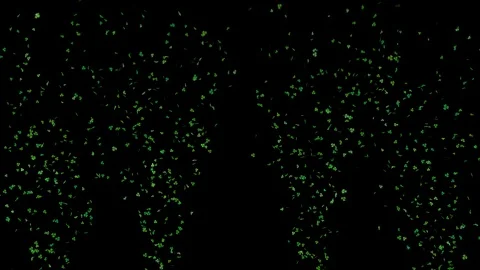 Clover leafs falling from ground frame St. Patrick's day with alpha Stock Footage 104710840