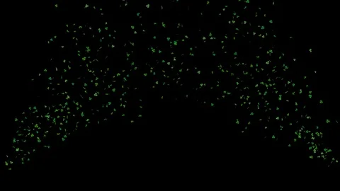 Clover leafs falling from side frame St. Patrick's day with alpha Stock Footage 104710677