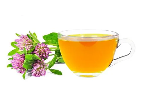 Clover tea Stock Photos