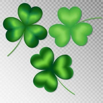 Clover on a transparent background Stock Illustration