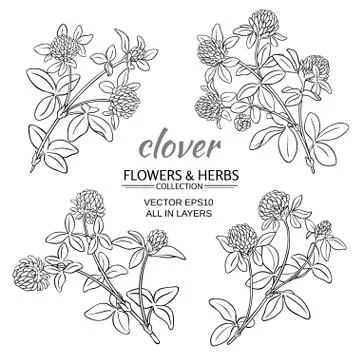 Clover vector set Stock-Illustration