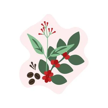 Cloves and coffee Stock Illustration