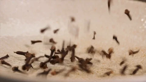 Cloves Fall on a Plate Closeup No. 1 Stock Footage 99164071