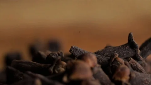 Cloves Falling Rotating Scene Extreme Closeup Stock Footage 99164056